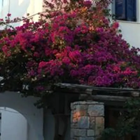 Ostria Aliki (Paros)