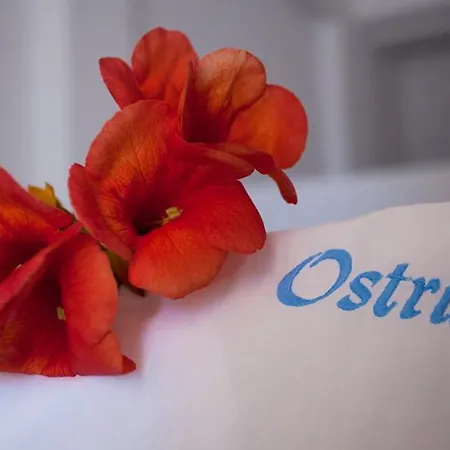 Ostria Apartment Aliki (Paros)